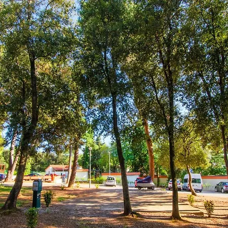 Centinera Deluxe Mobile Homes Banjole